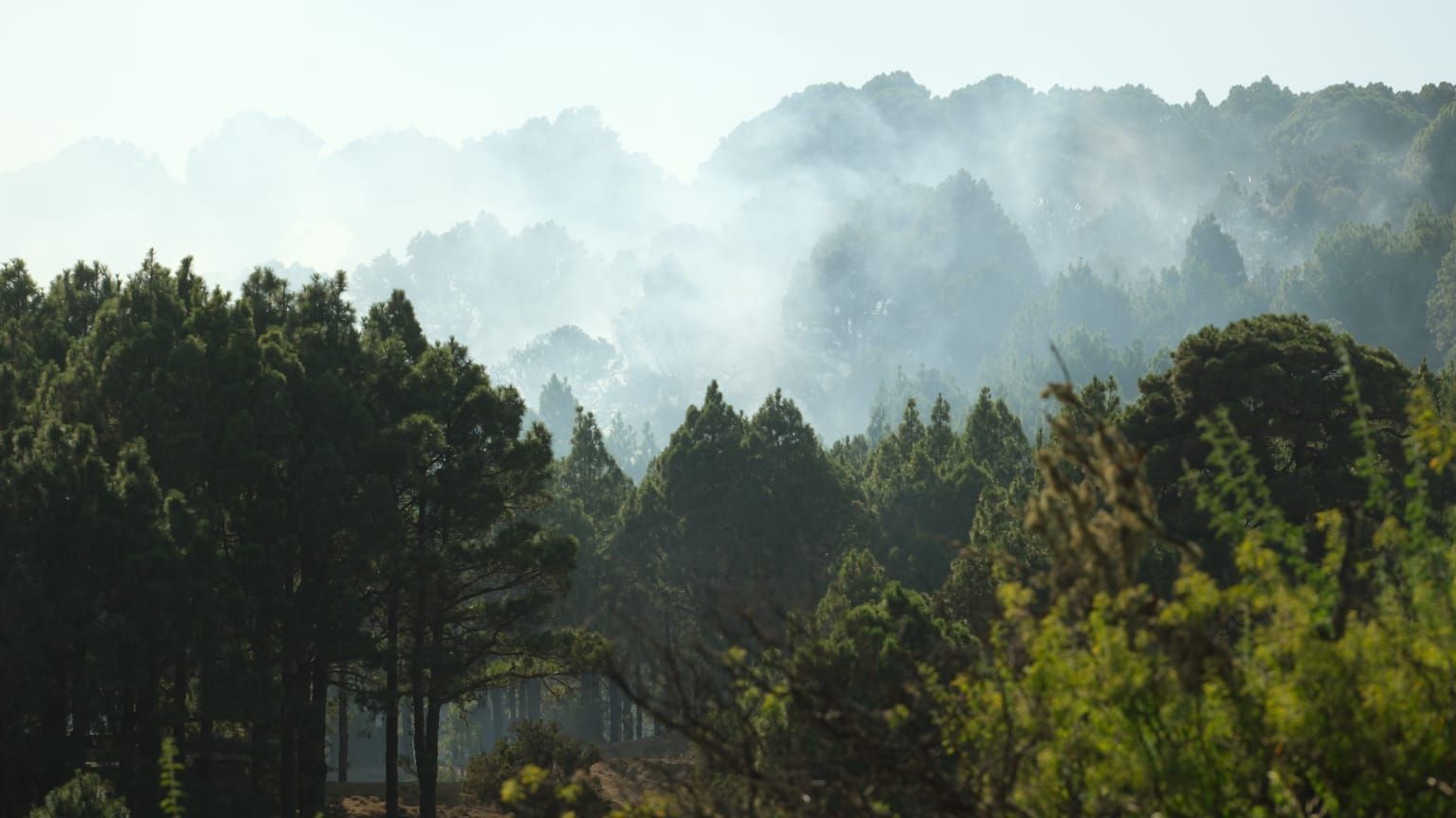 Humo del conato de incendio registrado ayer en El Hierro.