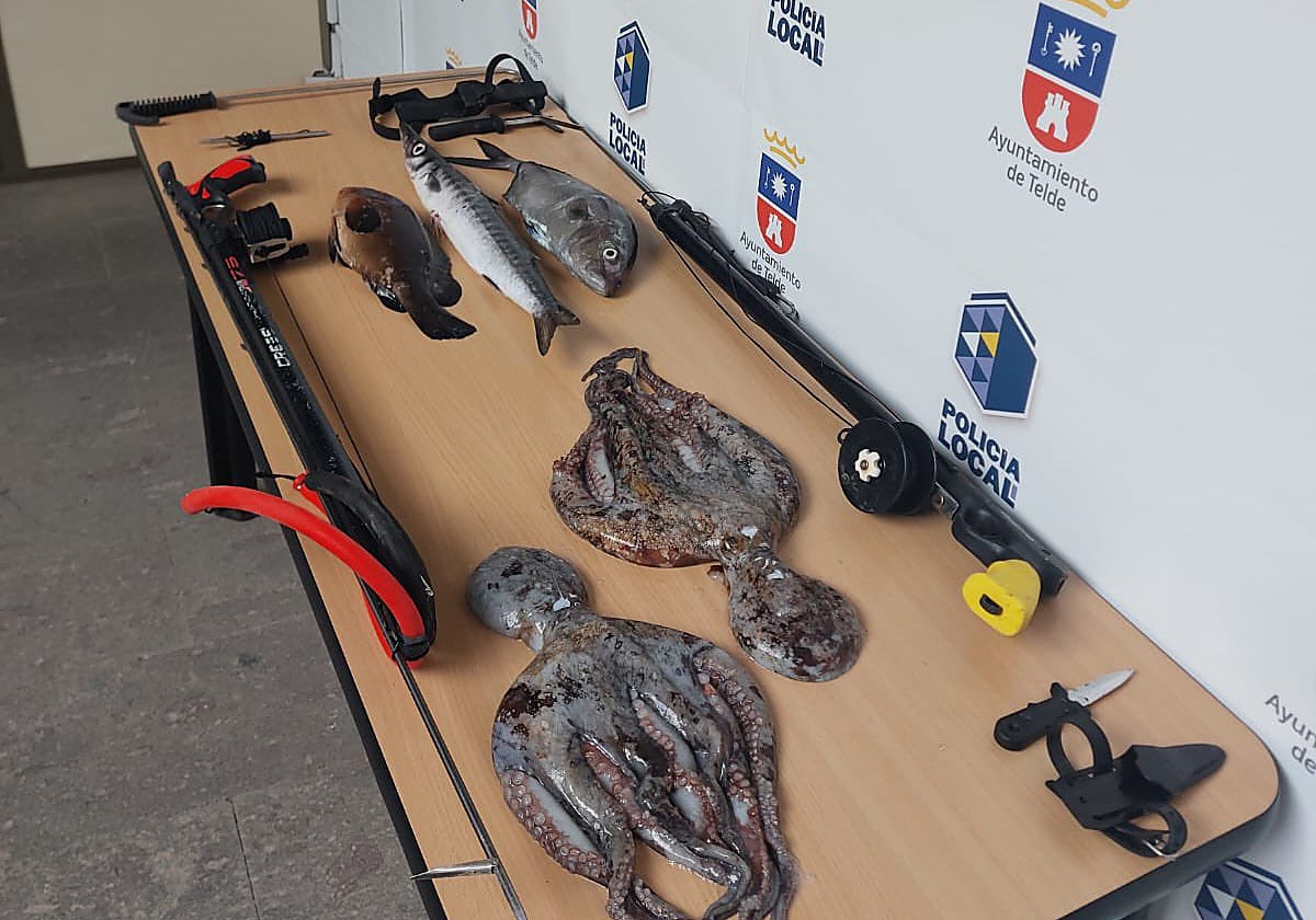 Imágenes de las armas y capturas requisadas por la Policía Local de Telde.