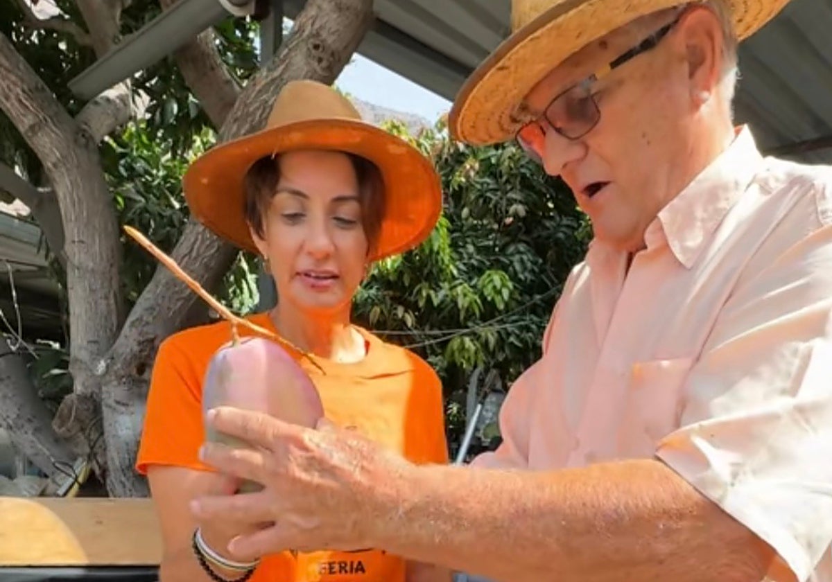 Imagen de Onalia Bueno cogiendo un mango.