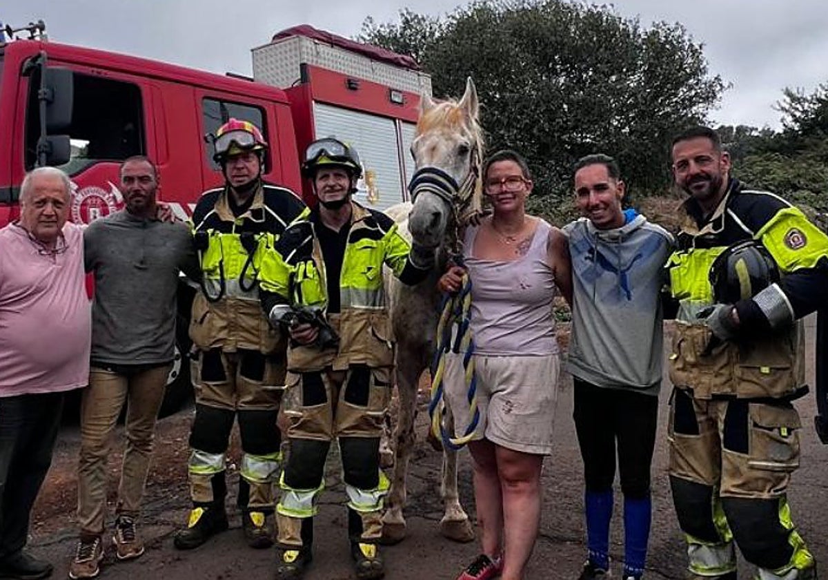 Imagen del caballo rescatado.