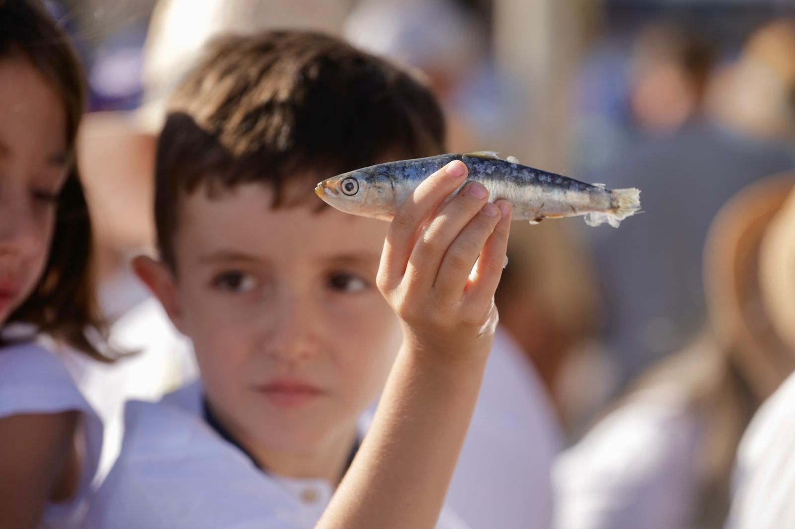 Imagen de un niño con una sardinda durante la fiesta de la Vará del Pescao 2025.