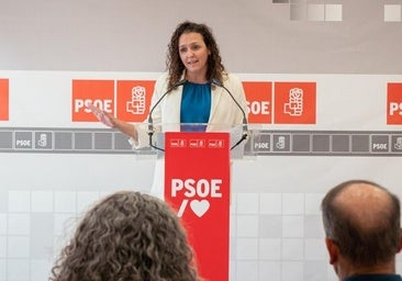 El PSOE acusa a Jesús Machín de «evitar la detención» de los agresores machistas