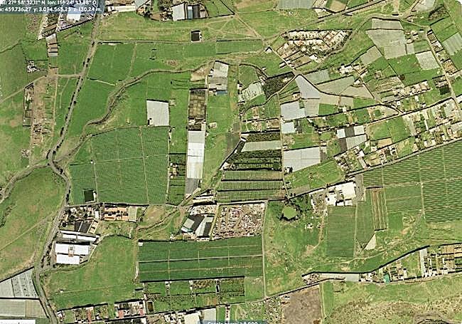 Ortofoto de 2022 de Grafcan del área afectada por el proyecto de parque fotovoltaico.