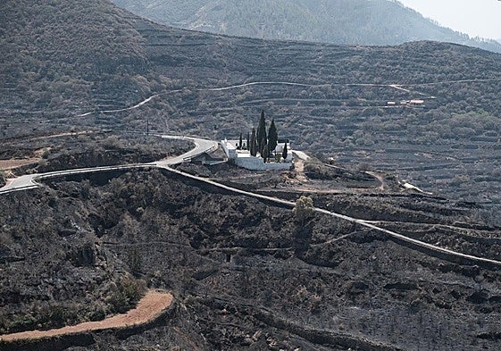 Imagen de archivo de los incendios de 2019 en Gran Canaria.