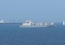 Imagen de archivo de un buque de ganado que recaló en el Puerto de la Luz.