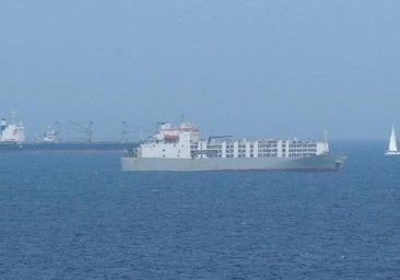 15.000 vacas para transportar droga en su paso por Canarias