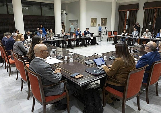 Imagen de la sesión de la Comisión General de Cabildos celebrada el pasado mes de febrero.