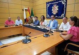 Comparecencia de este viernes en el Cabildo.