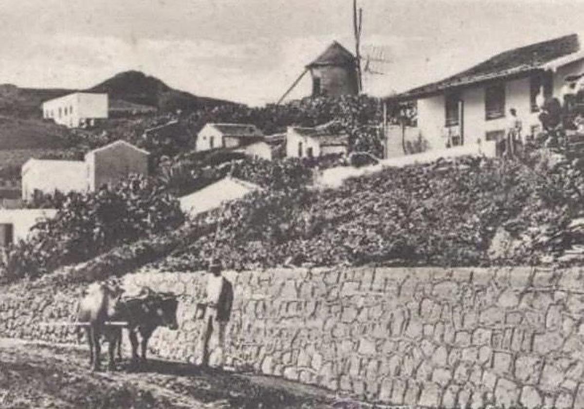 Imagen principal - A las afueras de La Laguna, El municipio de La Laguna y El centro de La Laguna 