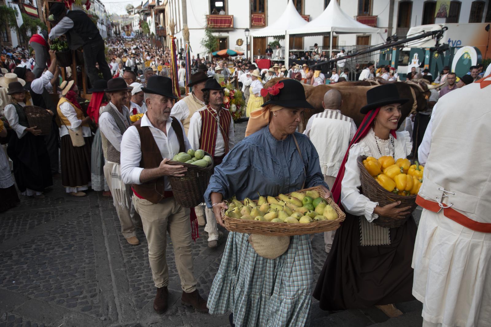 La romería de la Virgen del Pino, en imágenes