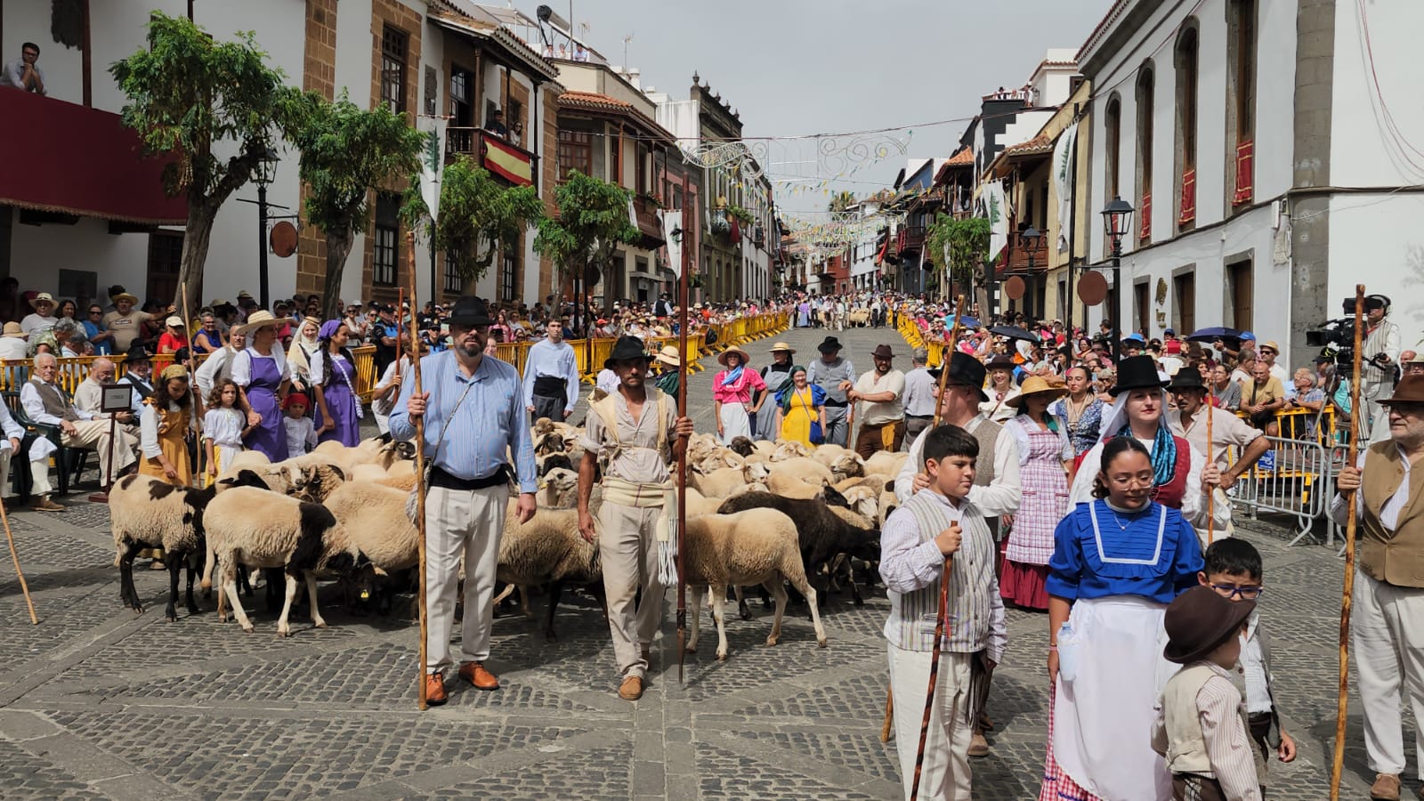 La romería de la Virgen del Pino, en imágenes