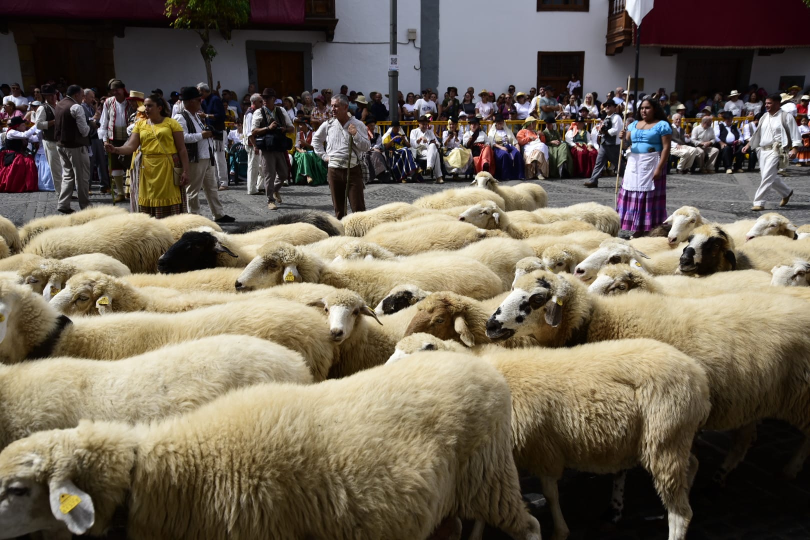 La romería de la Virgen del Pino, en imágenes