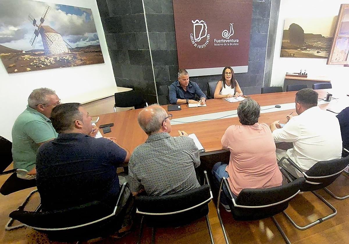 Encuentro promovido por el Cabildo dedicado a los planes de emergencia de rango municipal.
