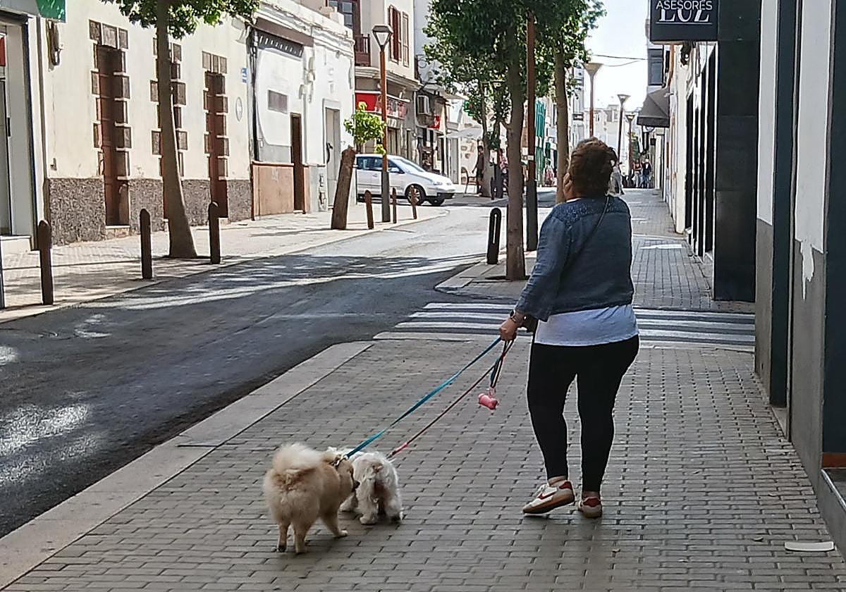 Mascotas de paseo con su dueña, por el centro de Arrecife.