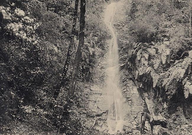 Cascadas y arroyos en el Monte de Las Mercedes