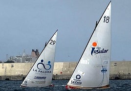 Imagen del Hospital La Paloma Pueblo Guanche -campeón-, por delante del Viajes Insular Unión Arenales, que acabó segundo en la prueba.