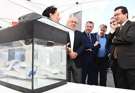 Primera edición de la Feria Regional de Economía Circular.