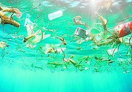 ¿Tratado Global sobre Plásticos?