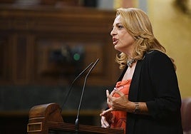 Cristina Valido, diputada de CC por Santa Cruz de Tenerife en la tribuna del Congreso.