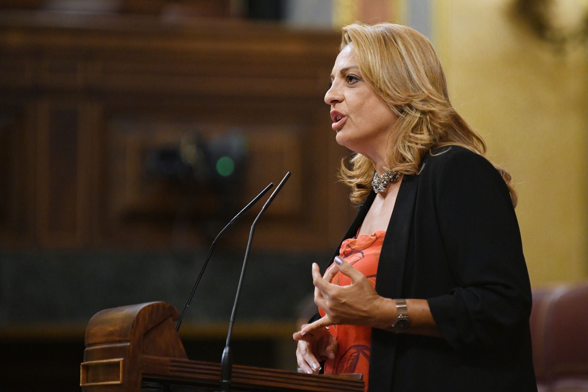 Cristina Valido, diputada de CC por Santa Cruz de Tenerife en la tribuna del Congreso.