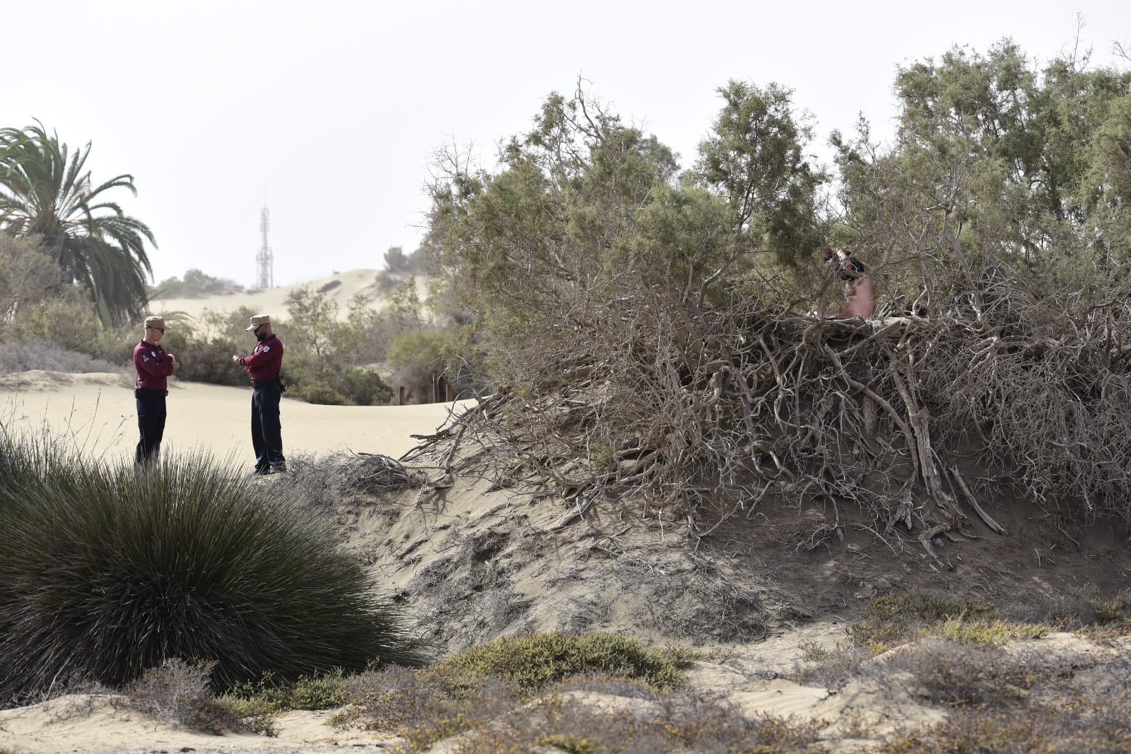 Despliegue de seguridad para proteger las dunas de Maspalomas