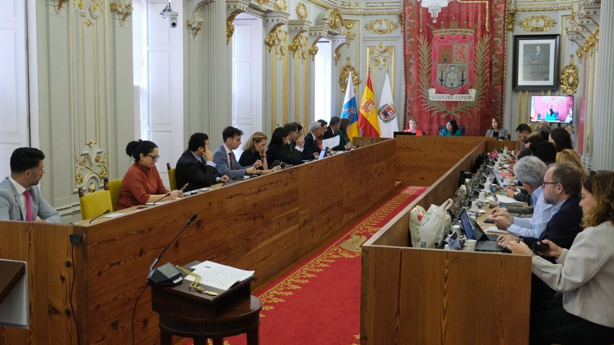 Vox se rompe en Las Palmas de Gran Canaria y pierde una concejala