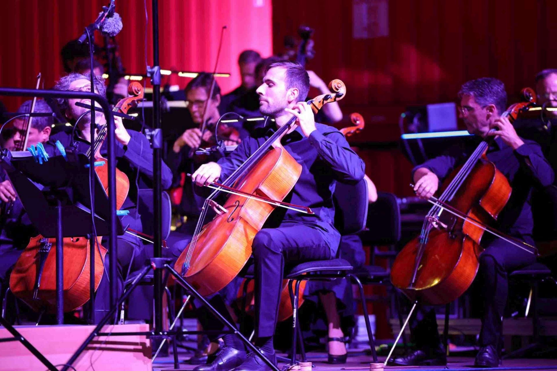 La OFGC participa un año más en el Festival de Teatro, Música y Danza del muelle de contenedores