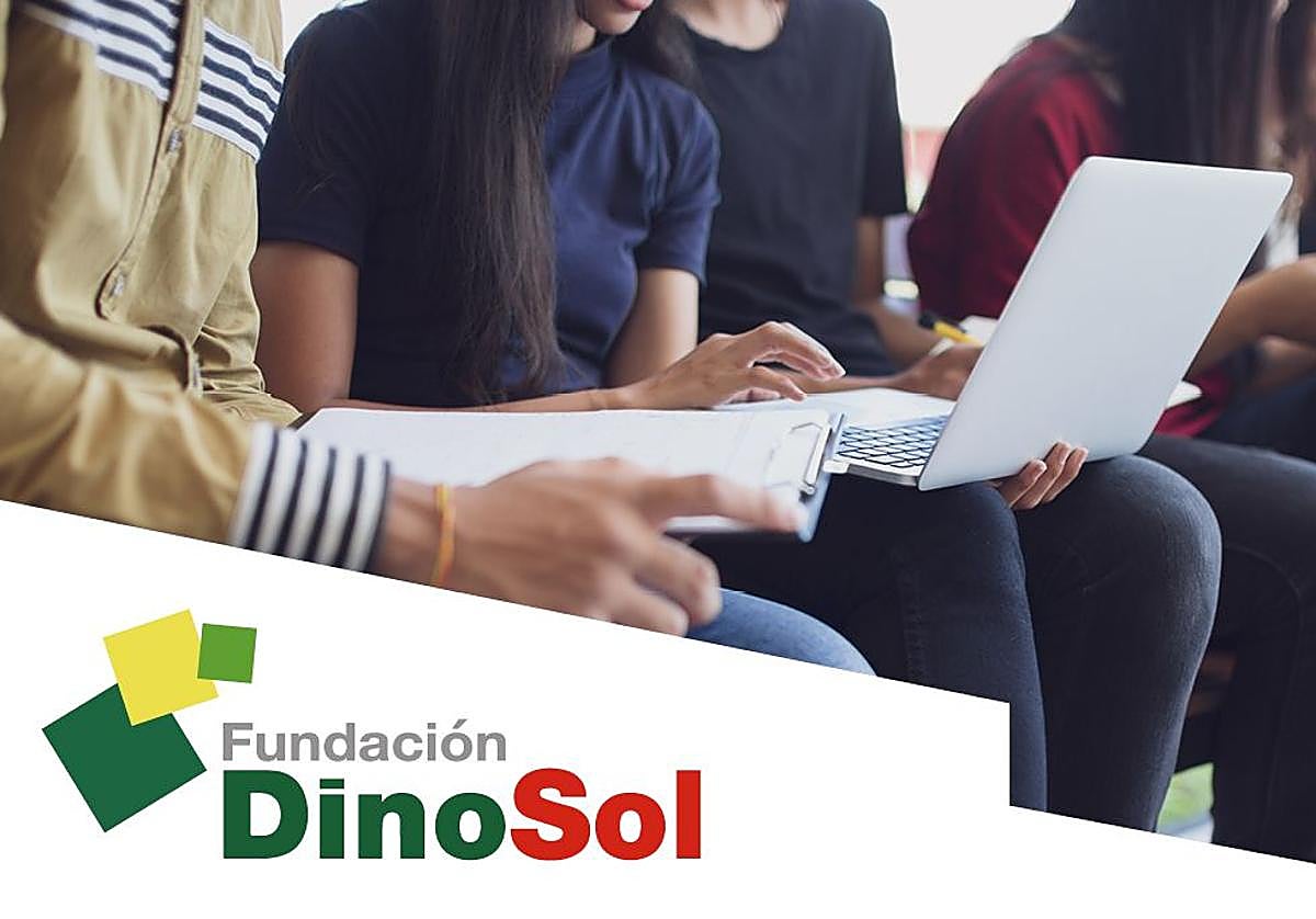 La Fundación DinoSol refuerza las Ayudas a la Excelencia Académica destinadas a sus empleados para el curso 2025-2026