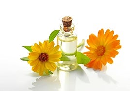 ¿Deberías cambiar el perfume según la época del año?