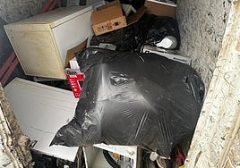 Imagen de la carga que llevaba el conductor en su vehículo.