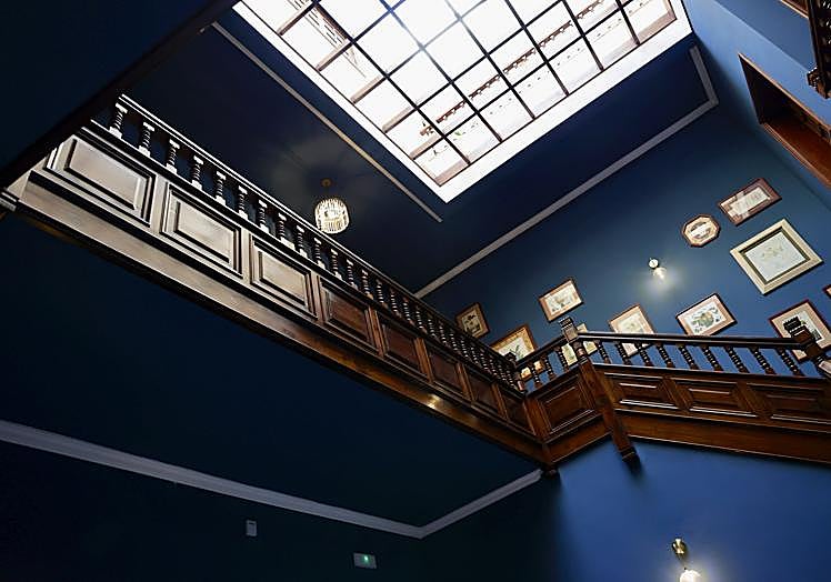 Vista hacia las plantas de arriba.