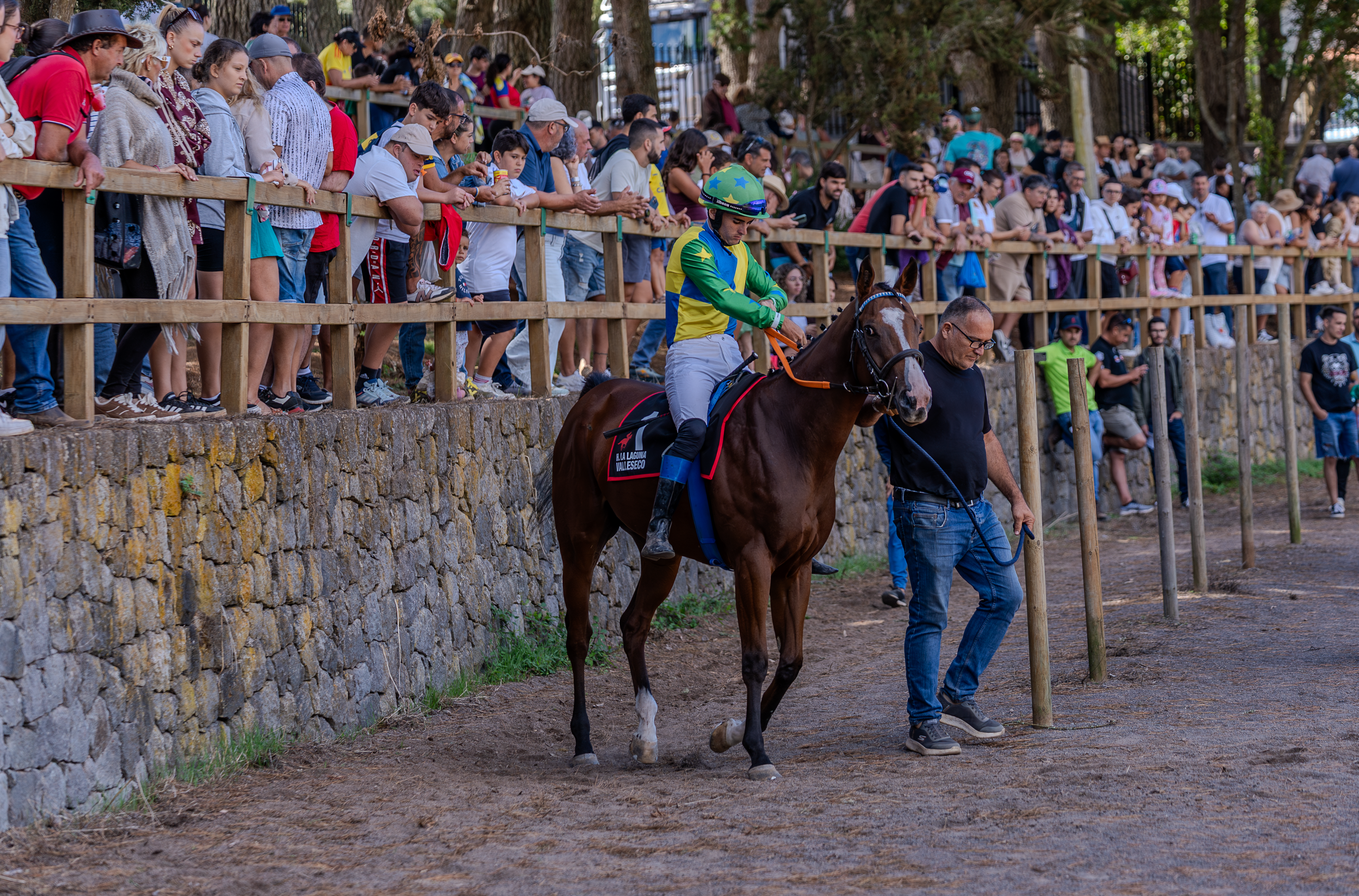 Valleseco se convierte en epicentro del mundo rural con una feria multitudinaria