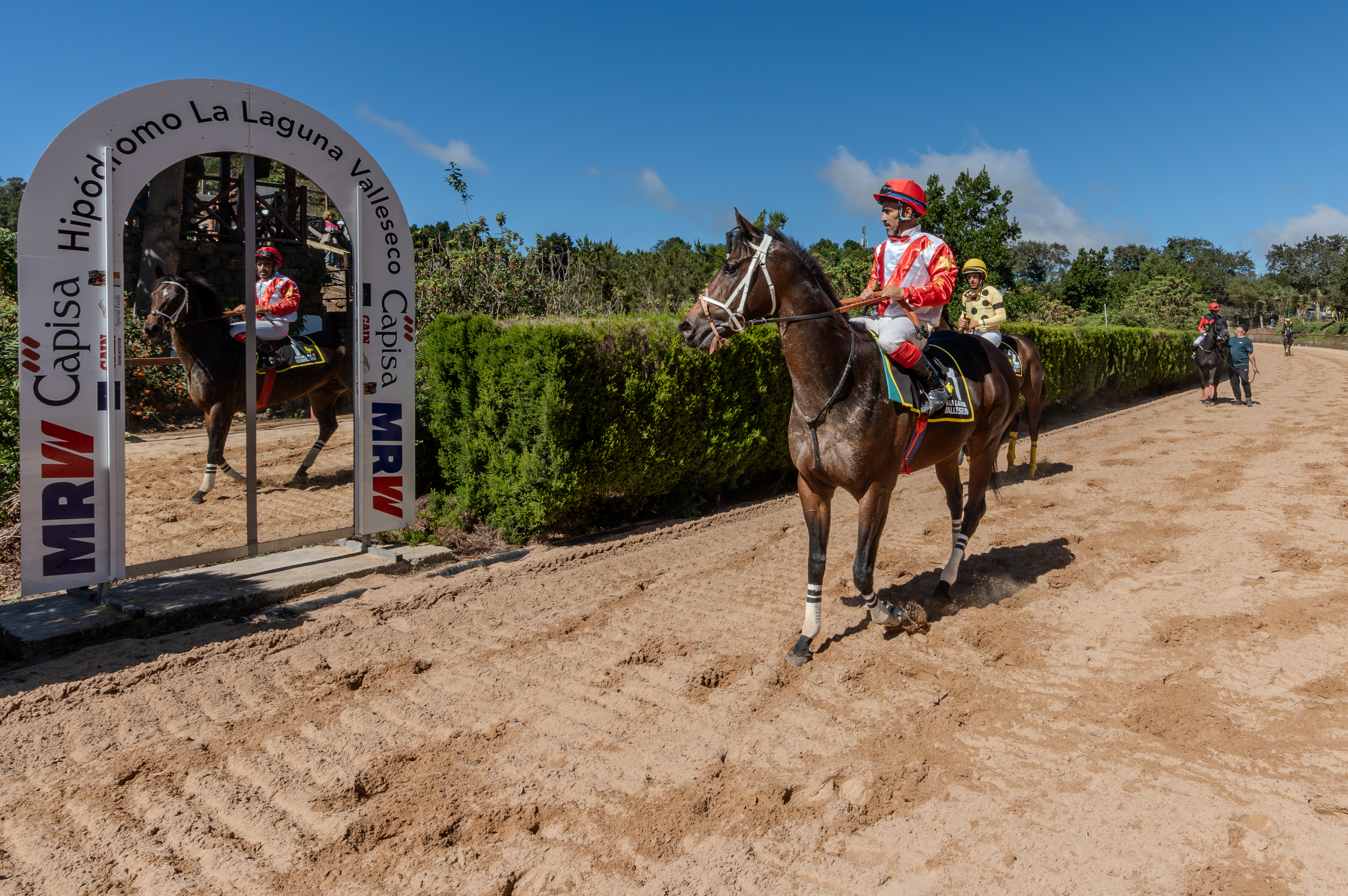Valleseco se convierte en epicentro del mundo rural con una feria multitudinaria