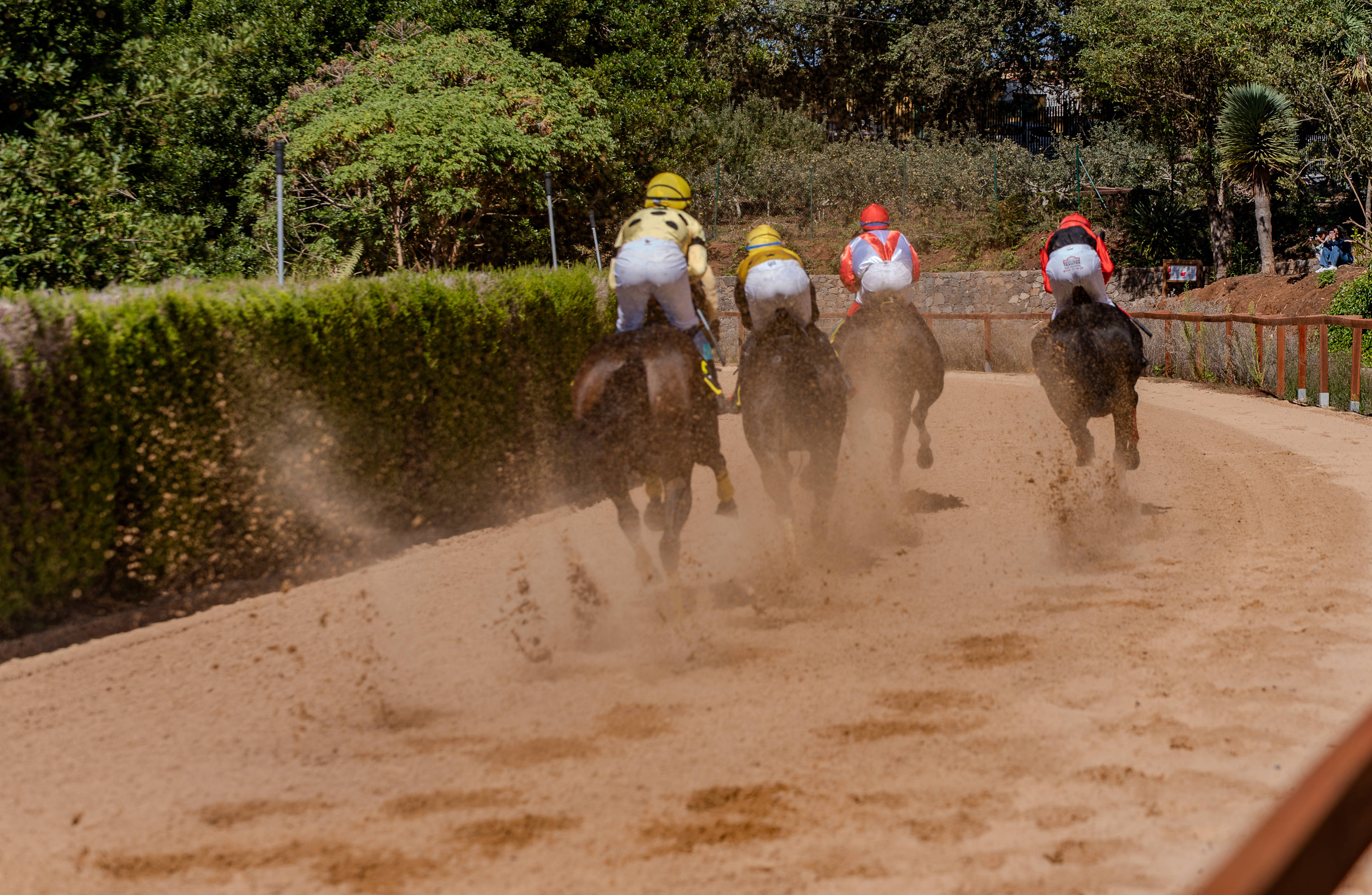 Valleseco se convierte en epicentro del mundo rural con una feria multitudinaria