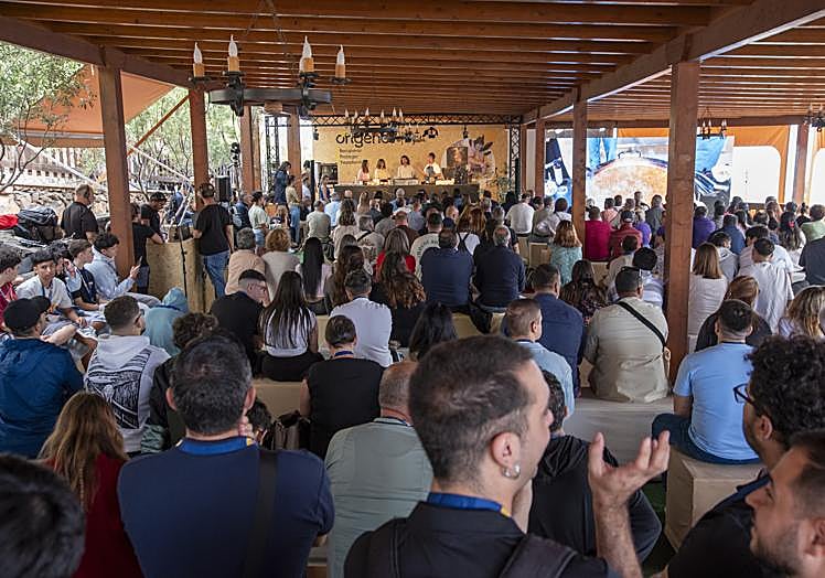 Público de la primera jornada del Congreso Orígenes.