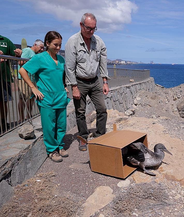 Imagen secundaria 2 - Diversos momentos de la liberación del alcatraz.