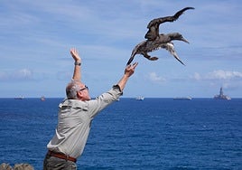 Liberación del alcatraz junto a la estatua del Tritón, cerca de La Laja.