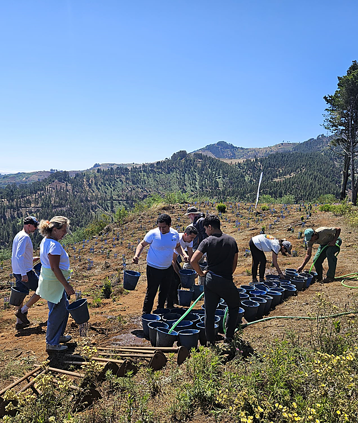 Imagen secundaria 2 - Reforestación del Área Recreativa Monte Pavón.