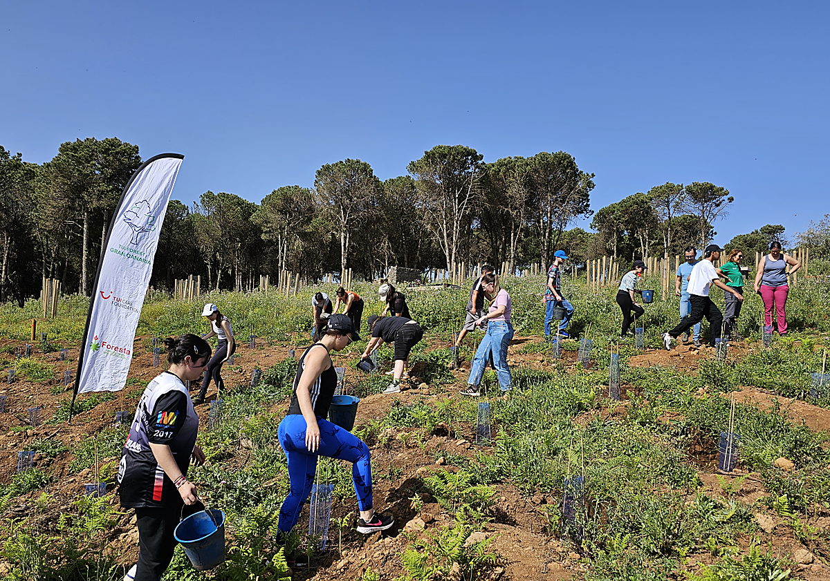 Imagen principal - Reforestación del Área Recreativa Monte Pavón.