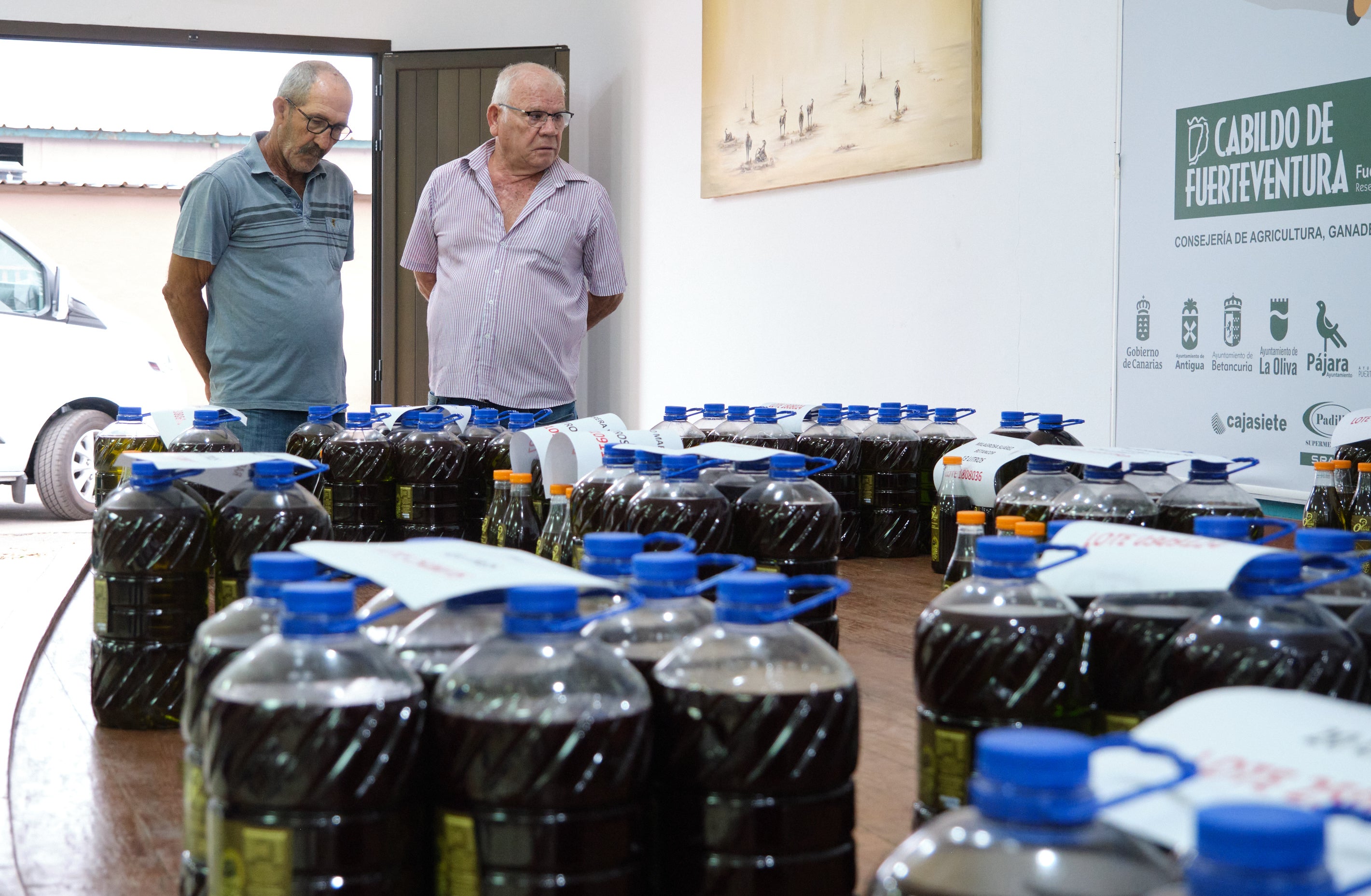 Imagen secundaria 1 - La almazara del Cabildo aún sigue funcionando con la variedad de aceituna verdial.