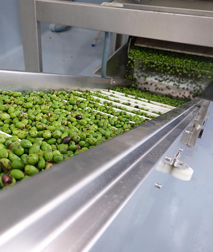 Imagen secundaria 2 - La almazara del Cabildo aún sigue funcionando con la variedad de aceituna verdial.