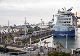 Llegada de los turistas al crucero esta mañana, en la nueva terminal del puerto de Las Palmas de Gran Canaria.