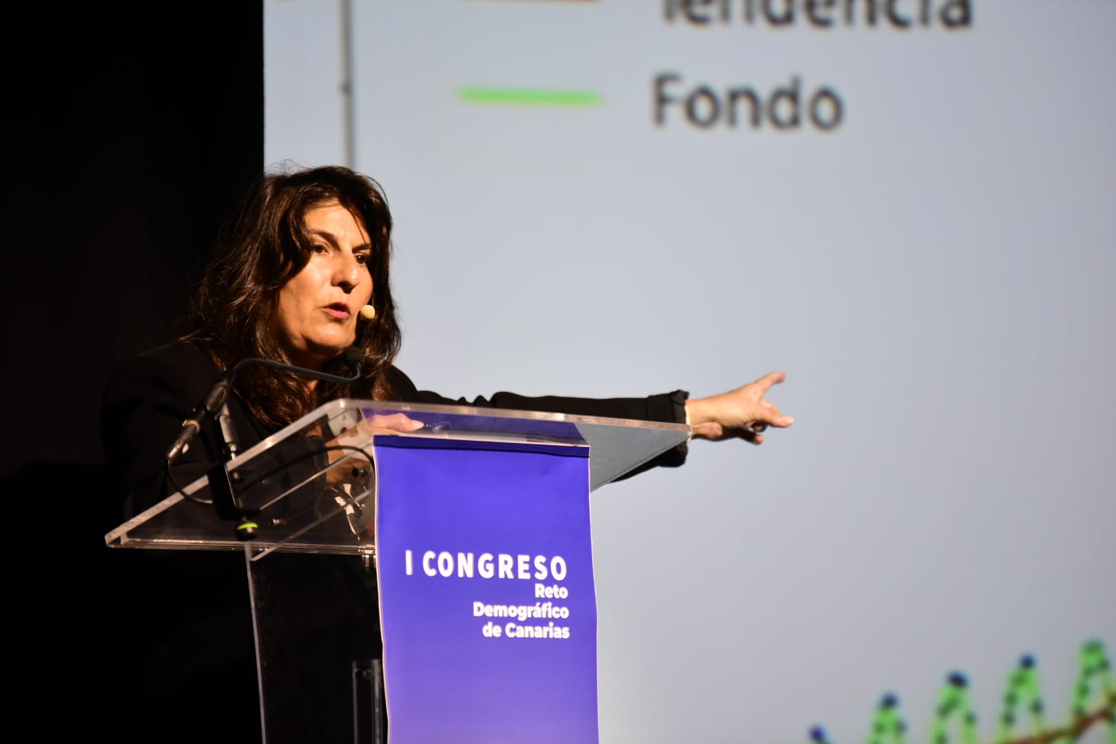 Segunda jornada del Congreso sobre el Reto Demográfico