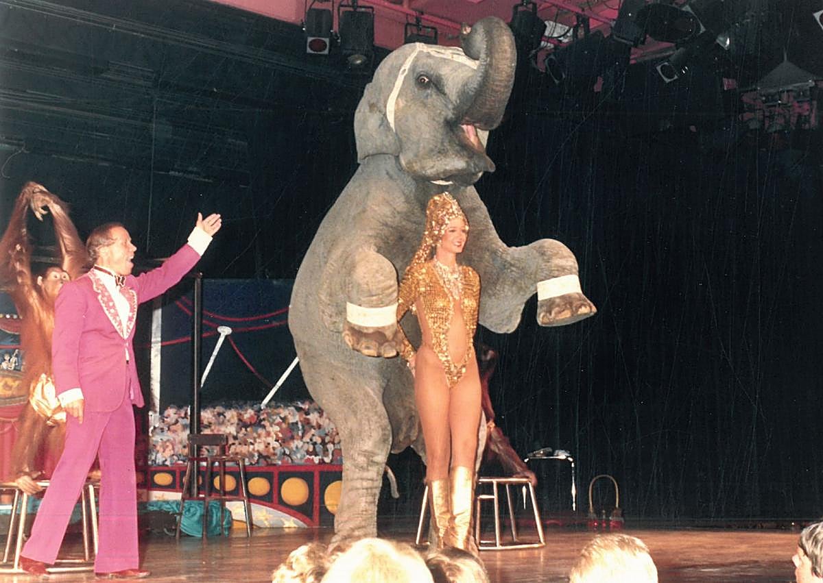 Imagen secundaria 1 - 1. A la izquierda, el actor David Hasselhoff como espectador de la sala | 2. Hasta elefantes hubo en los espectáculos de la sala Scala Gran Canaria. | 3. Una pareja en el escenario de la sala.