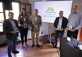 Imagen de la presentación de la nueva seña de identidad 'M' de la Mancomunidad de Medianías de Gran Canaria este lunes.