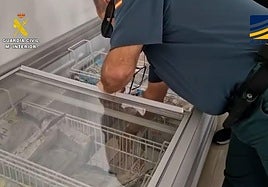 La Guardia Civil incautando los productos ilícitos.