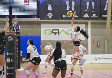 El campeón Heidelberg comienza la defensa del título