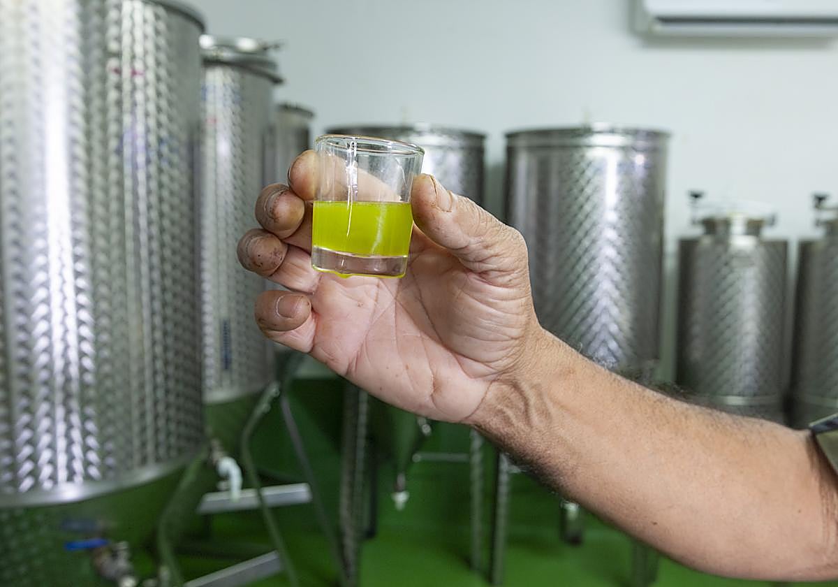 Fernando Delgado mostrando aceite obtenido en la Granja.