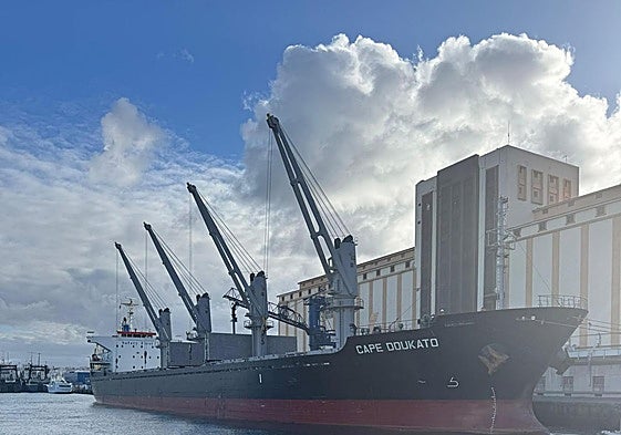 Un buque que transporta millo atracado en el Puerto de la Luz.
