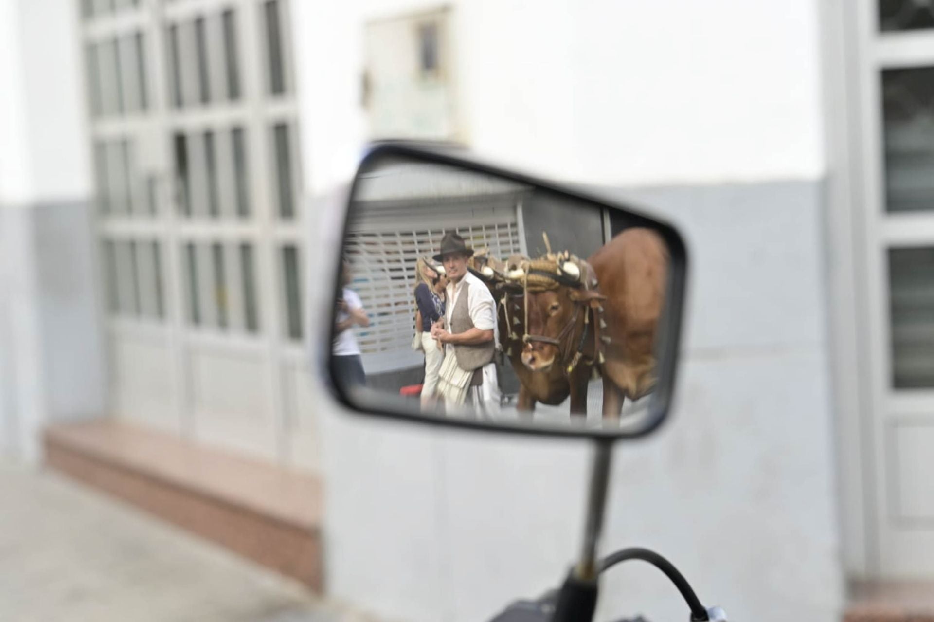 Guanarteme se viste de romería llena de color y tradición